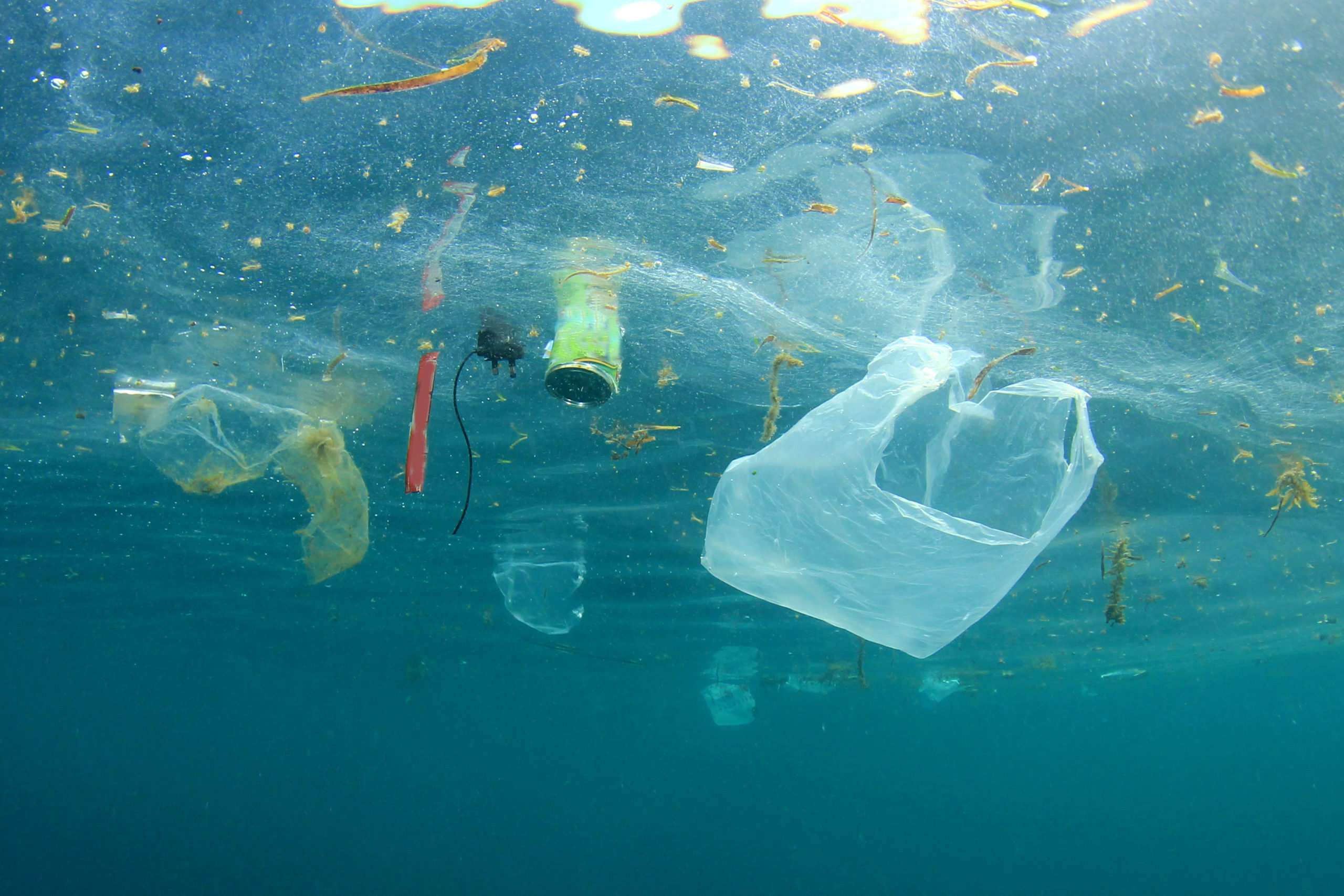 getting-rid-of-marine-debris-national-maritime-historical-society